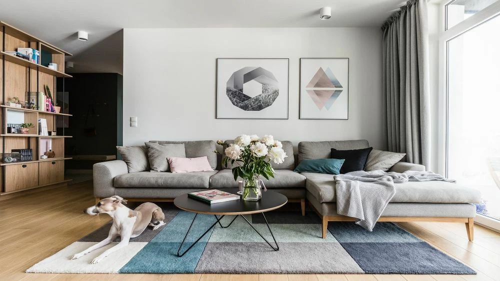 TEDDY BEAR Sales 4 TEDDY BEAR Sales -TEDDY BEAR Sales 3