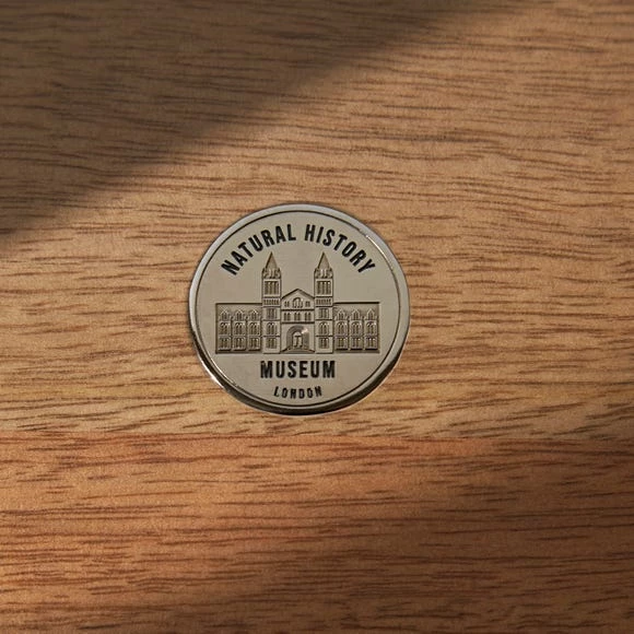 Best Pirce π Natural History Museum Small Glazed Display Cabinet β€οΈ 6 Best Pirce π Natural History Museum Small Glazed Display Cabinet β€οΈ - Image 4