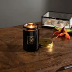 Top 10 👏 Natural History Museum Tropical Paradise Candle 410g 😍 -TEDDY BEAR Sales 30757063 alt02