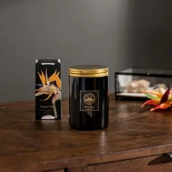 Top 10 👏 Natural History Museum Tropical Paradise Candle 410g 😍 -TEDDY BEAR Sales 30757063 alt03