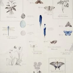 Cheap 🌟 Natural History Museum Nature’s Study White Wallpaper 😍 -TEDDY BEAR Sales 30757434 alt01