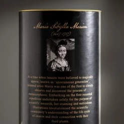 Promo 🛒 Natural History Museum Botanical Paradise Diffuser 200ml 💯 -TEDDY BEAR Sales 30757813 alt04