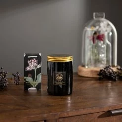 Discount ⌛ Natural History Museum Botanical Paradise Candle 🧨 -TEDDY BEAR Sales 30757819 alt03