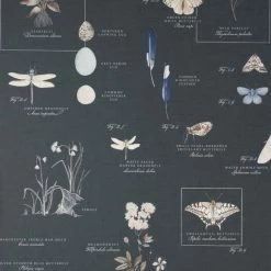 Promo 🧨 Natural History Museum Nature's Journal Navy Wallpaper ✨ -TEDDY BEAR Sales 30759972 alt01
