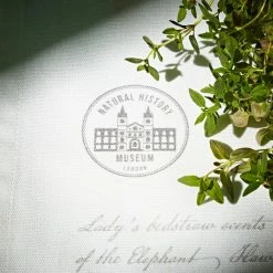 Budget ⌛ Natural History Museum Lady's Bedstraw Tea Towel 🛒 -TEDDY BEAR Sales 30764588 alt02