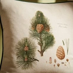 Coupon 😀 Natural History Museum Pine Cushion ❤️ -TEDDY BEAR Sales 30780927 alt03